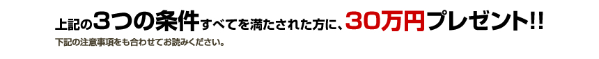 嵭ΣĤξ魯٤Ƥ줿ˡ30ߥץ쥼ȡջ碌Ƥɤߤ